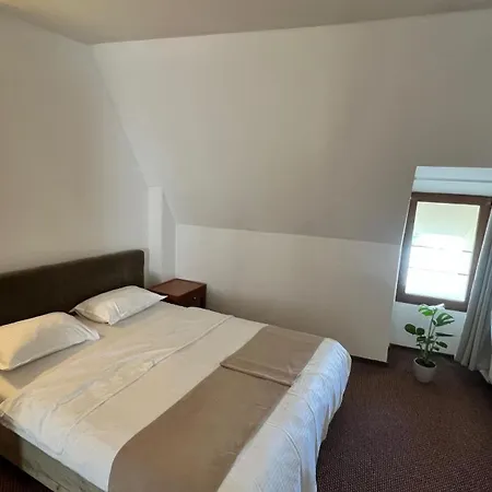 Гостьовий будинок Piata Sfatului