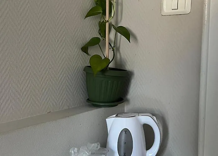 Guest house Piata Sfatului