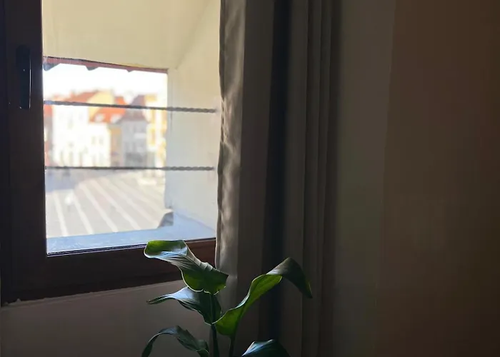 Piata Sfatului Πανσιόν